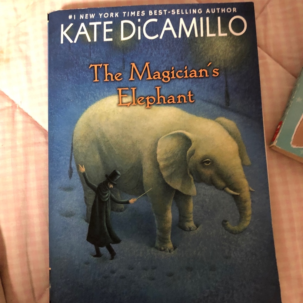 The Magicians Elephant Book